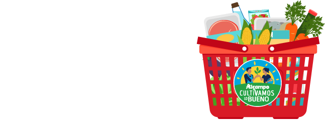 Sorteo Lotes